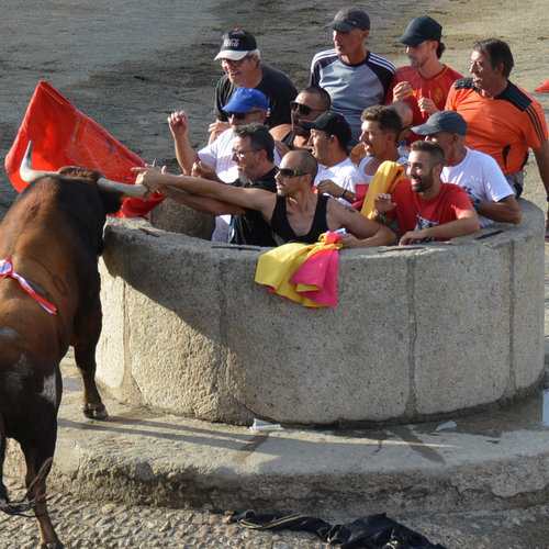 Toros2023 (19 de 70)